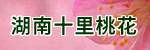 ʮһrIlչ޹˾