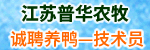 KArƼ޹˾