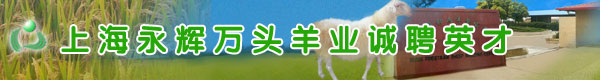 Ϻҵ޹˾